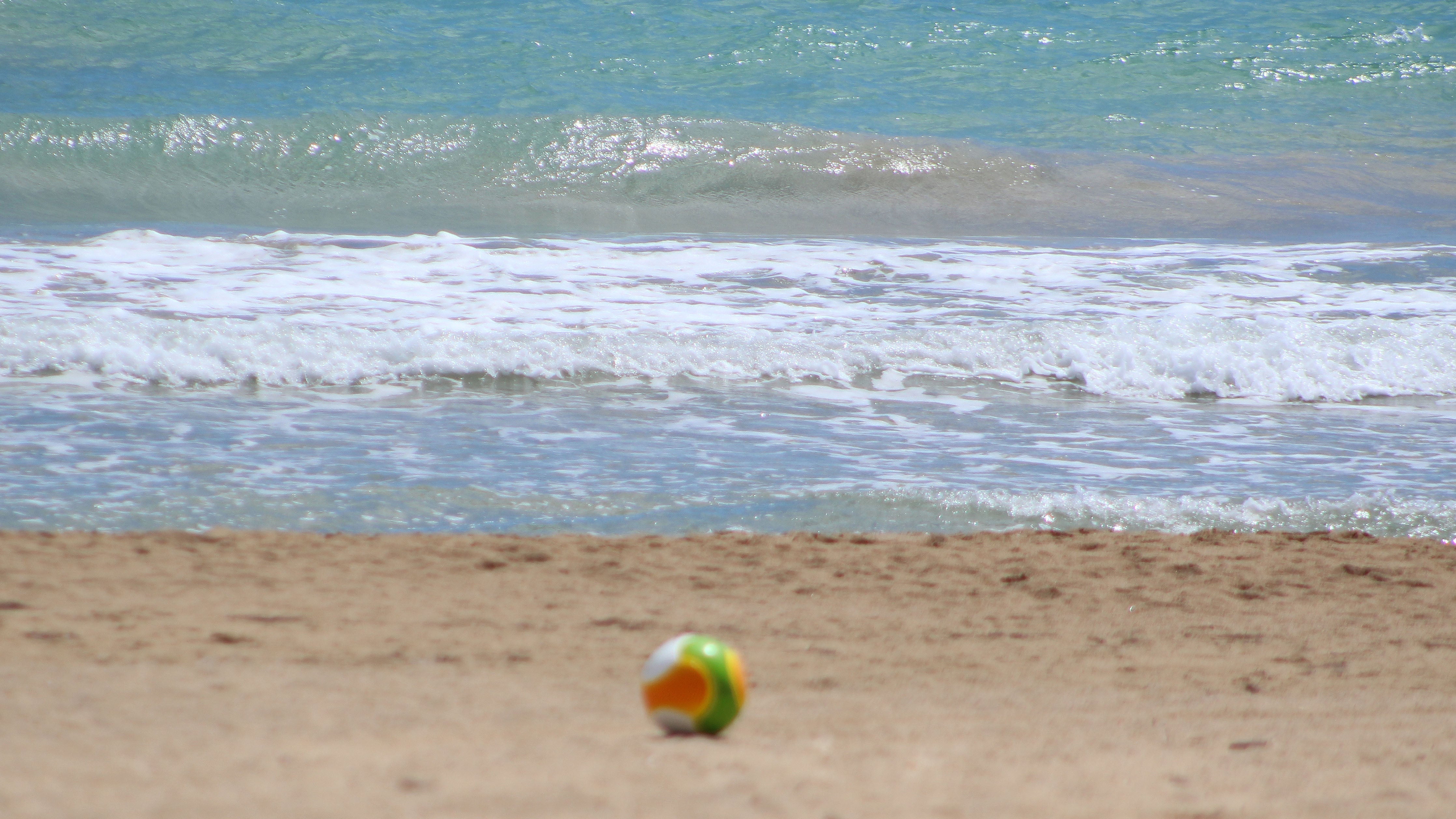 Lista Completa de Jugadores y CT de Atletico Rio